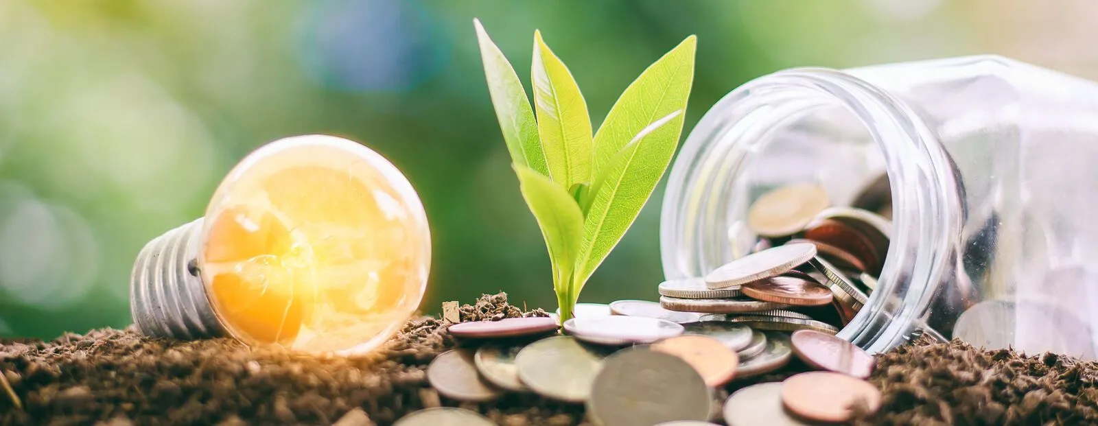 Glowing light bulb with small plant growing from soil and money coins in the glass jar.jpg
